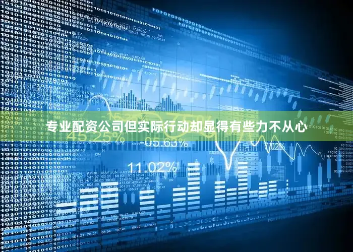 专业配资公司但实际行动却显得有些力不从心
