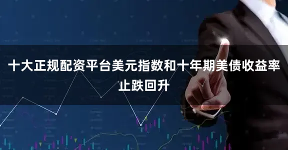 十大正规配资平台美元指数和十年期美债收益率止跌回升